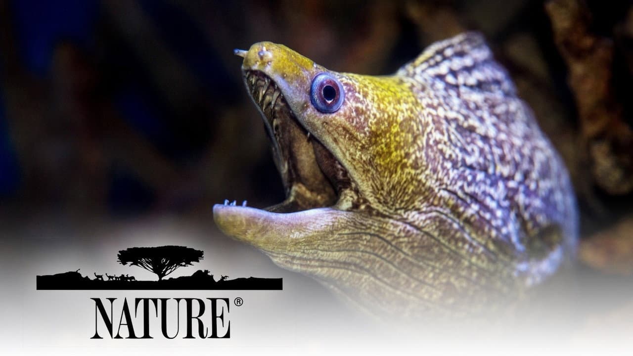 Nature — visuel 21