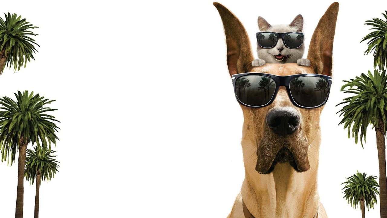 Marmaduke — visuel 9