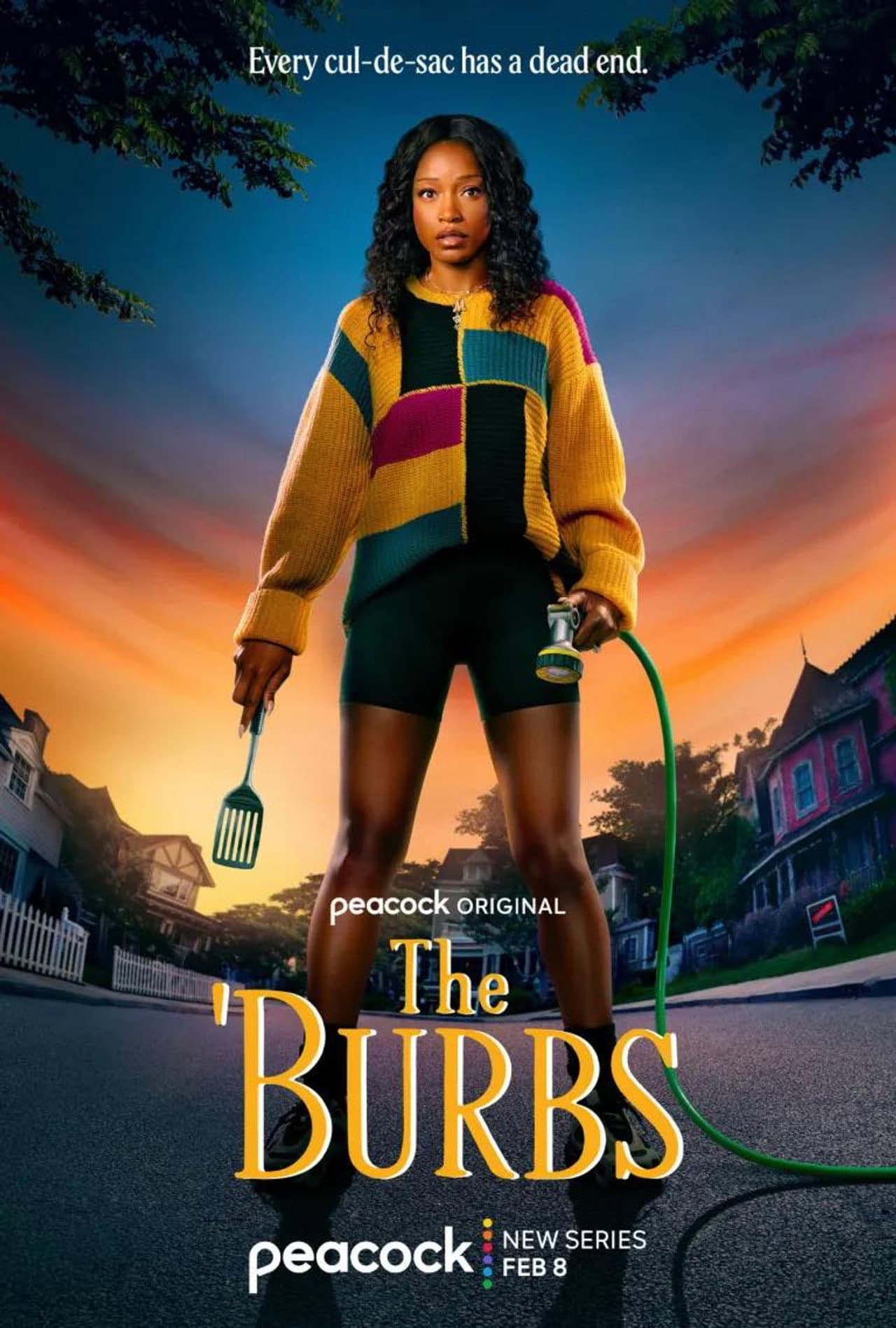 The 'Burbs — visuel 17