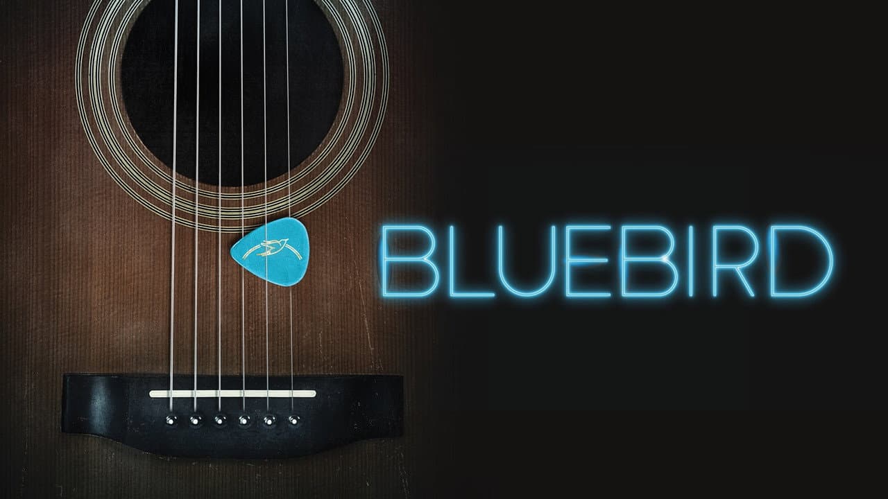 Bluebird — visuel 3