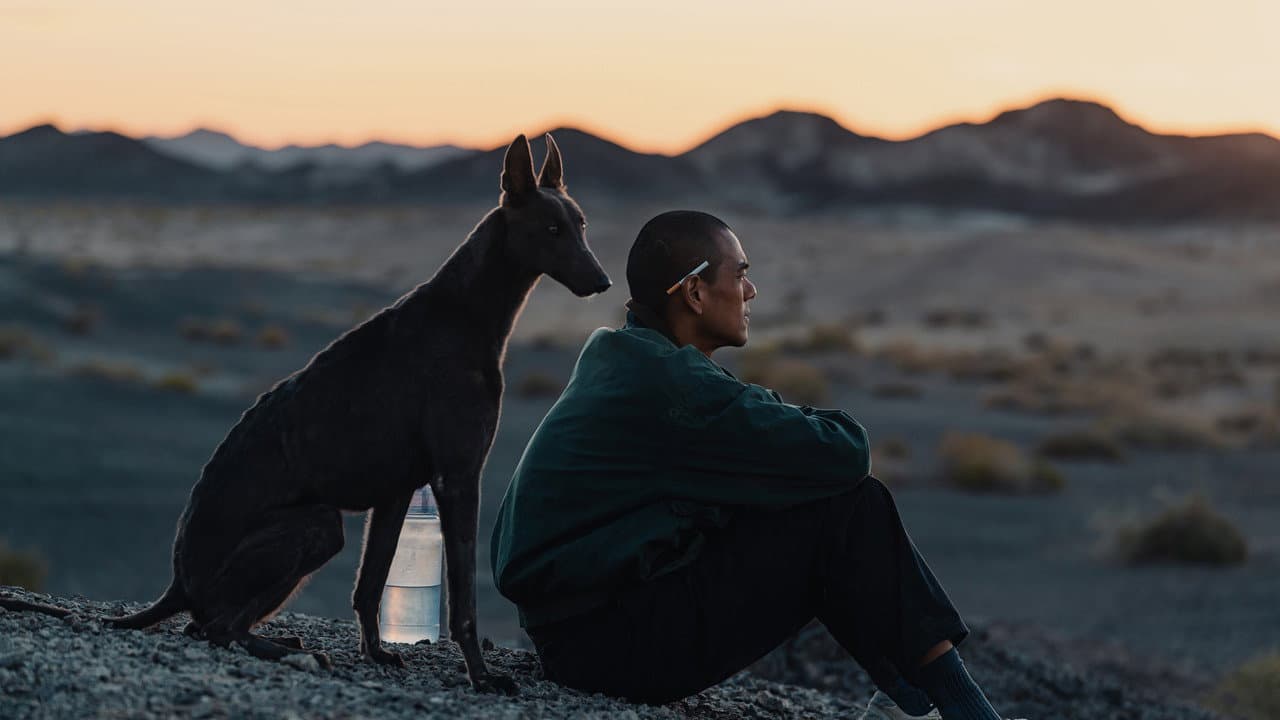 Black Dog — visuel 10