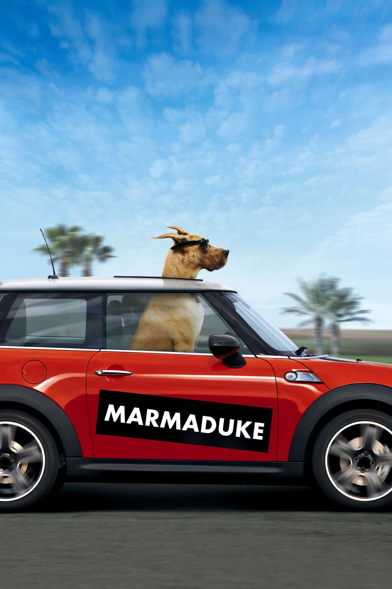 Marmaduke — visuel 16