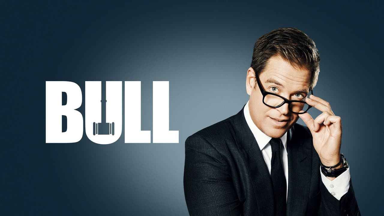 Bull — visuel 18