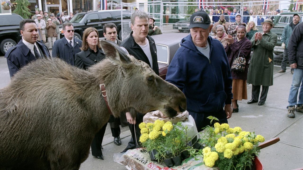 Bienvenue à Mooseport — visuel 8