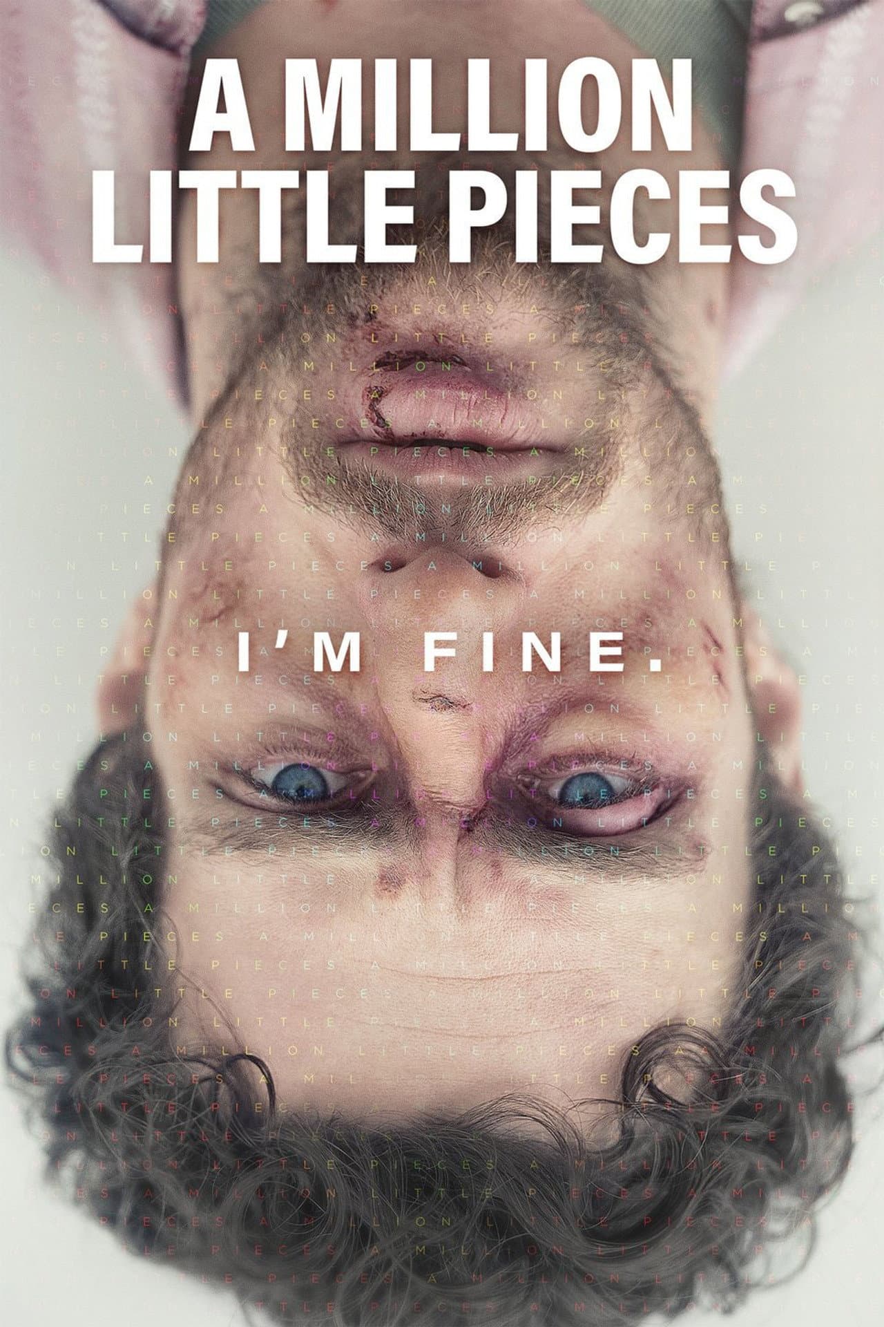 A Million Little Pieces — visuel 14