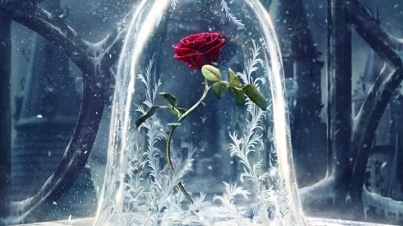 La Belle et la Bête — visuel 13