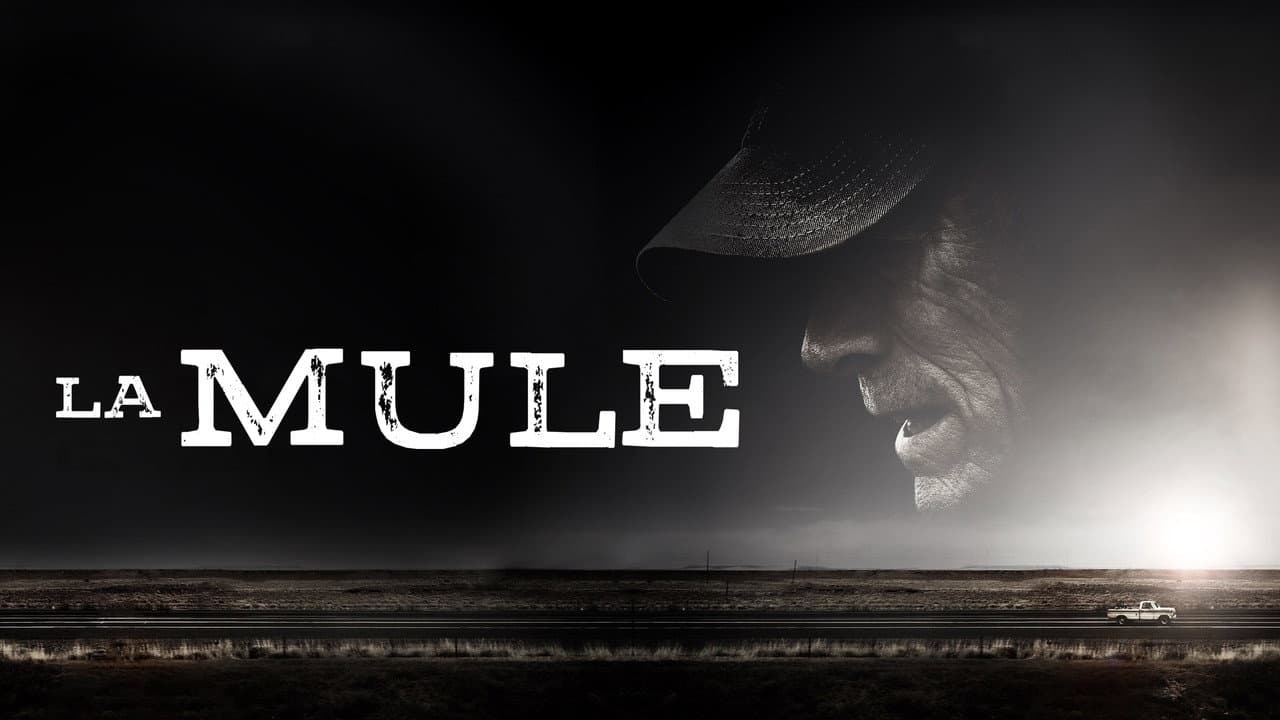 La Mule — visuel 22