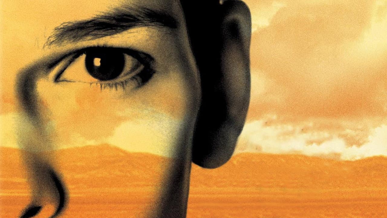 Boys Don't Cry — visuel 3