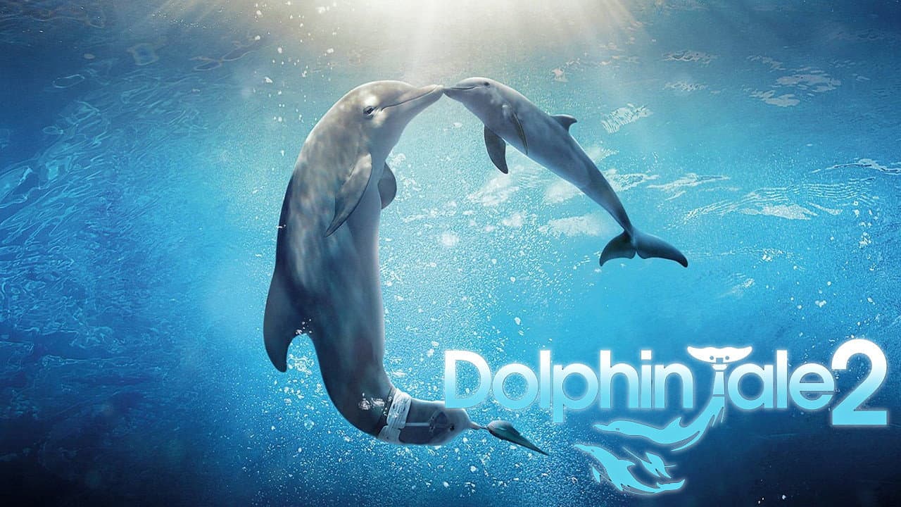 L'Incroyable Histoire de Winter le dauphin 2 — visuel 4