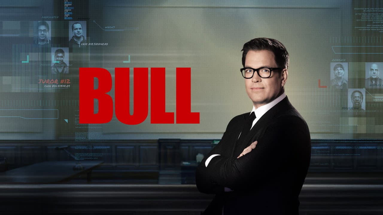 Bull — visuel 21