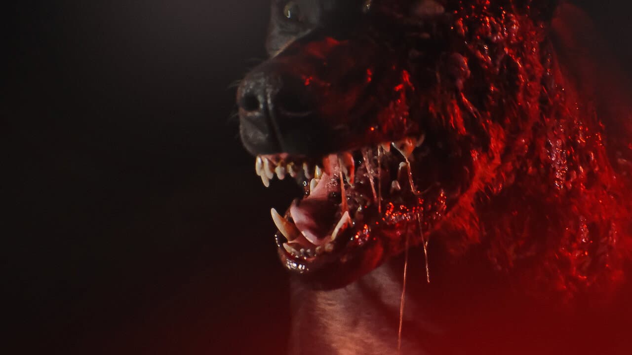 Resident Evil — visuel 8