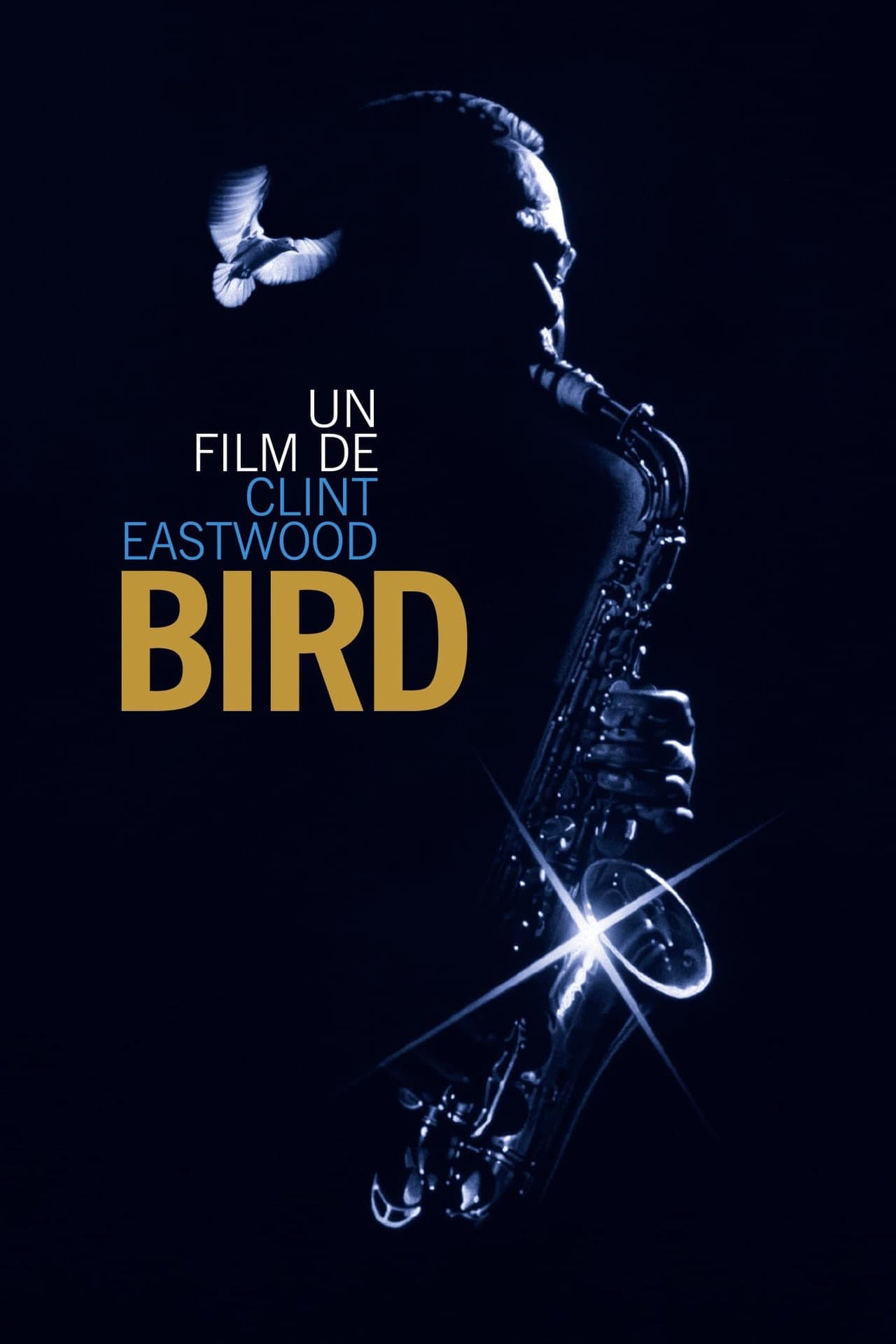 Bird — visuel 9