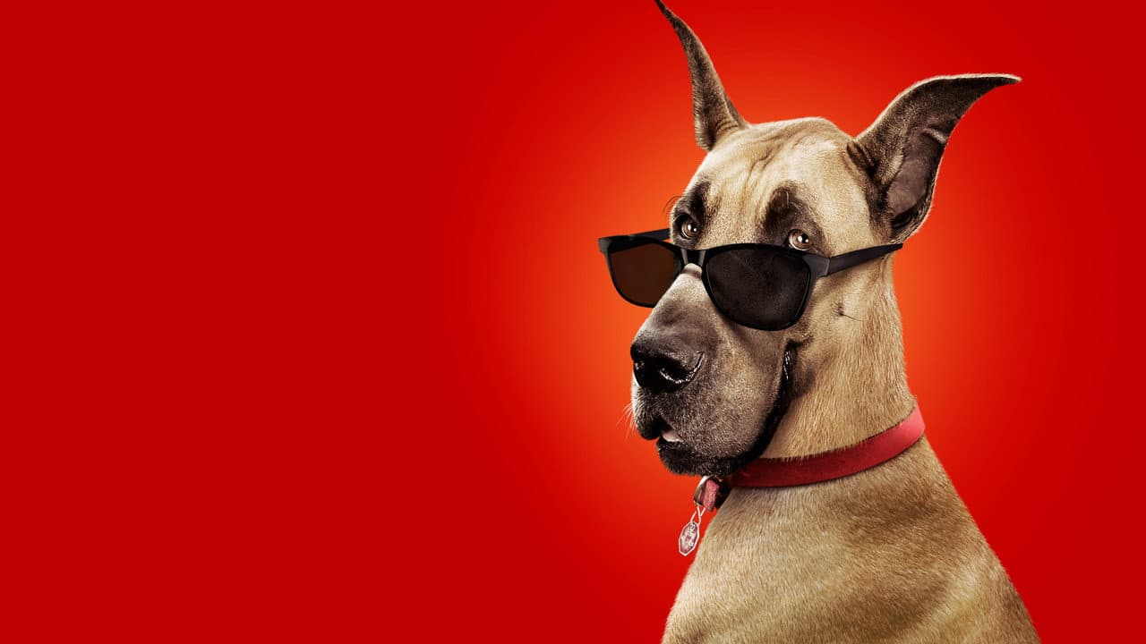 Marmaduke — visuel 7