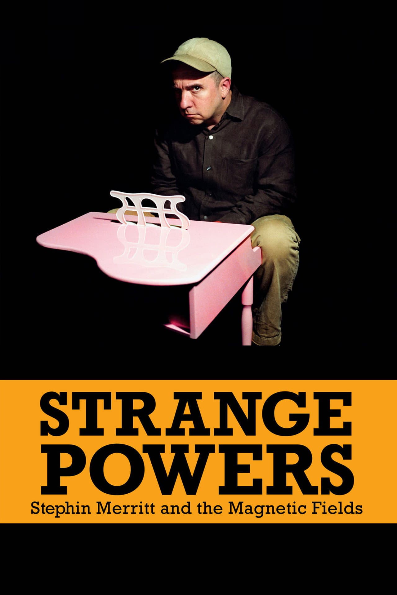 Strange Powers: Stephin Merritt and the Magnetic Fields — visuel 2