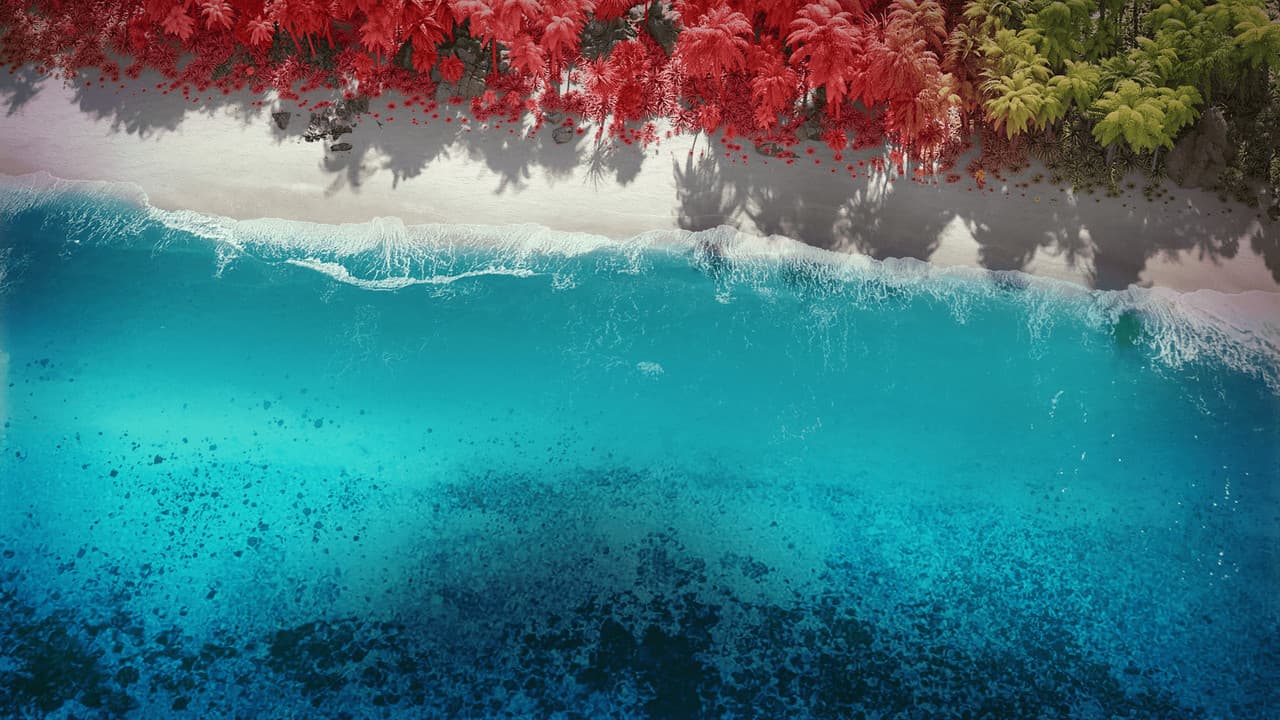 L'Île fantastique — visuel 10