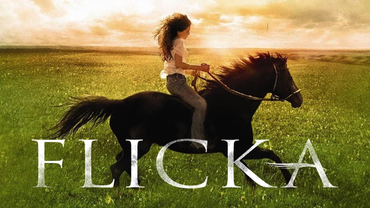Flicka — visuel 7