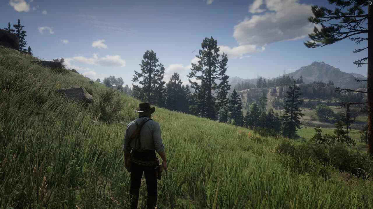 Red Dead Redemption 2 — visuel 19